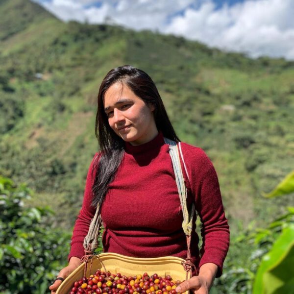 PERU LA PERLA – Bild 2